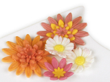 Ausstecher + Stempel Margeriten 4er Ausstecher + Stempel Margeriten 4er