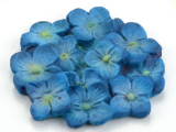 Flexform Hortensie Flexform Hortensie