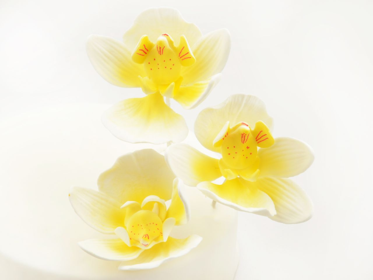 Feinzucker Blüten Moth Orchid 3er