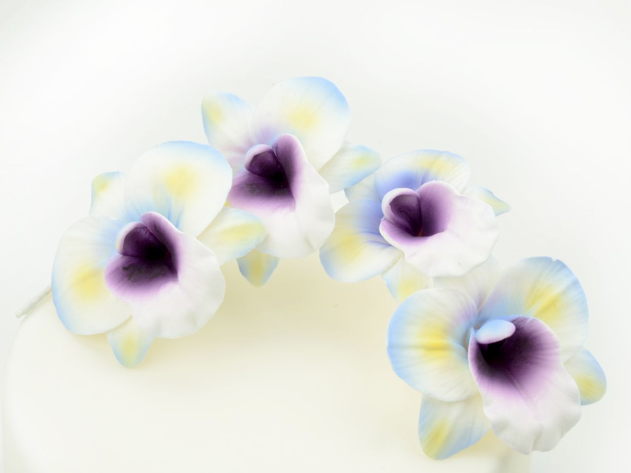 Feinzucker Blütenzweig Orchid spray
