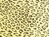 Transferfolie Leopard