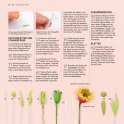 Basics fr Zuckerblumen - Alan Dunn