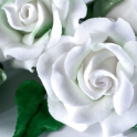 Renshaw Blütenpaste weiß 250g