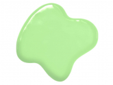 Lebensmittelfarbe llslich Mint 20ml